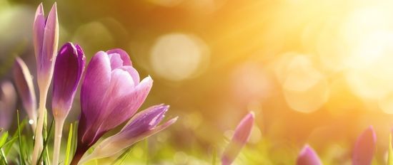 The Air Wick® Guide To Seasonal Scents