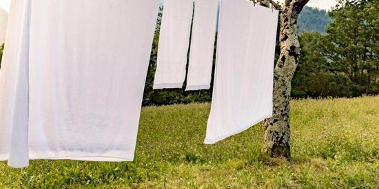 Fresh Linen
