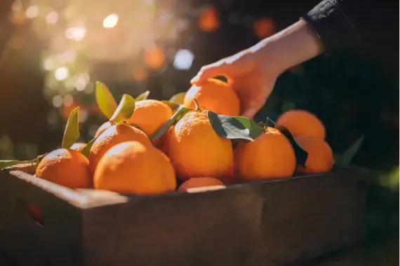 Inspire with Zesty Citrus Aromas