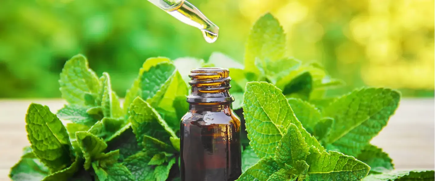 All About Essential Oils