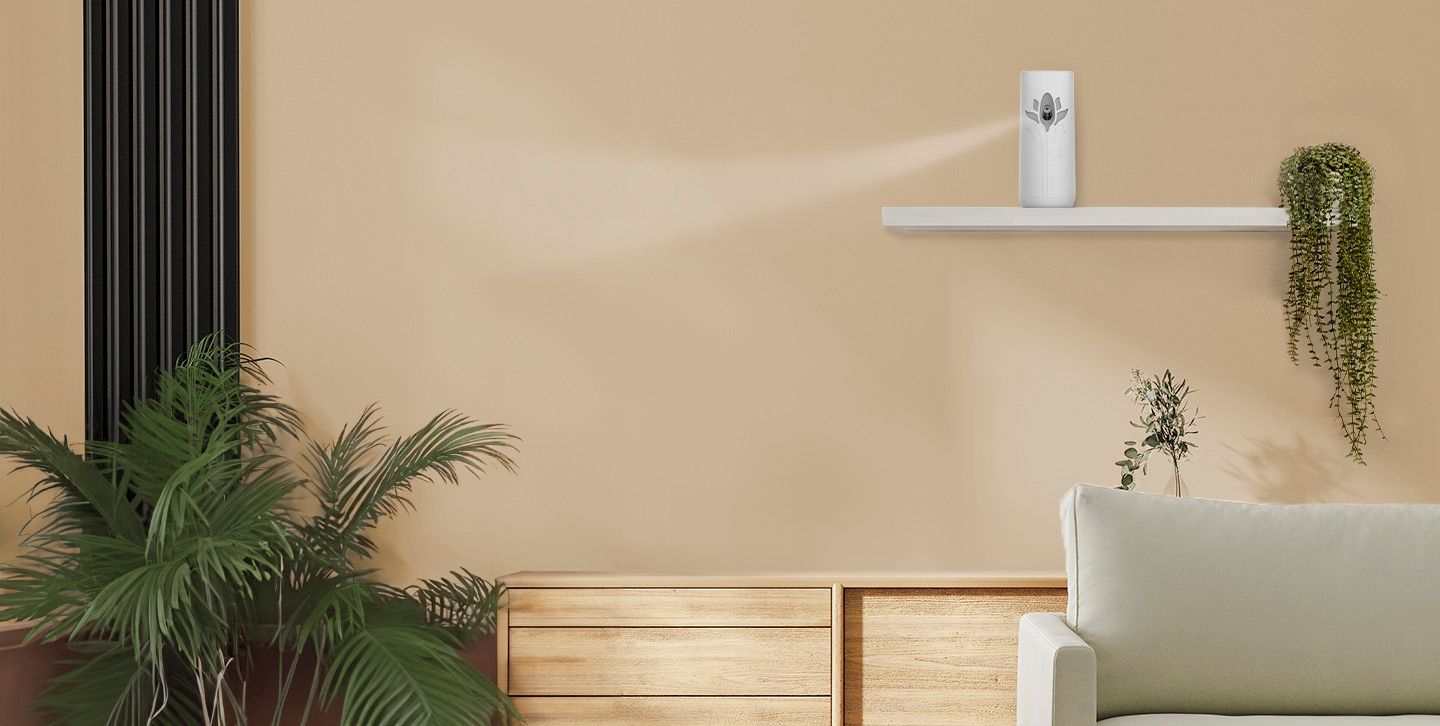 Automatic Sprays