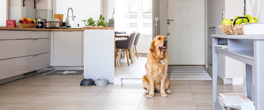 How To Make Your Kitchen Smell Good