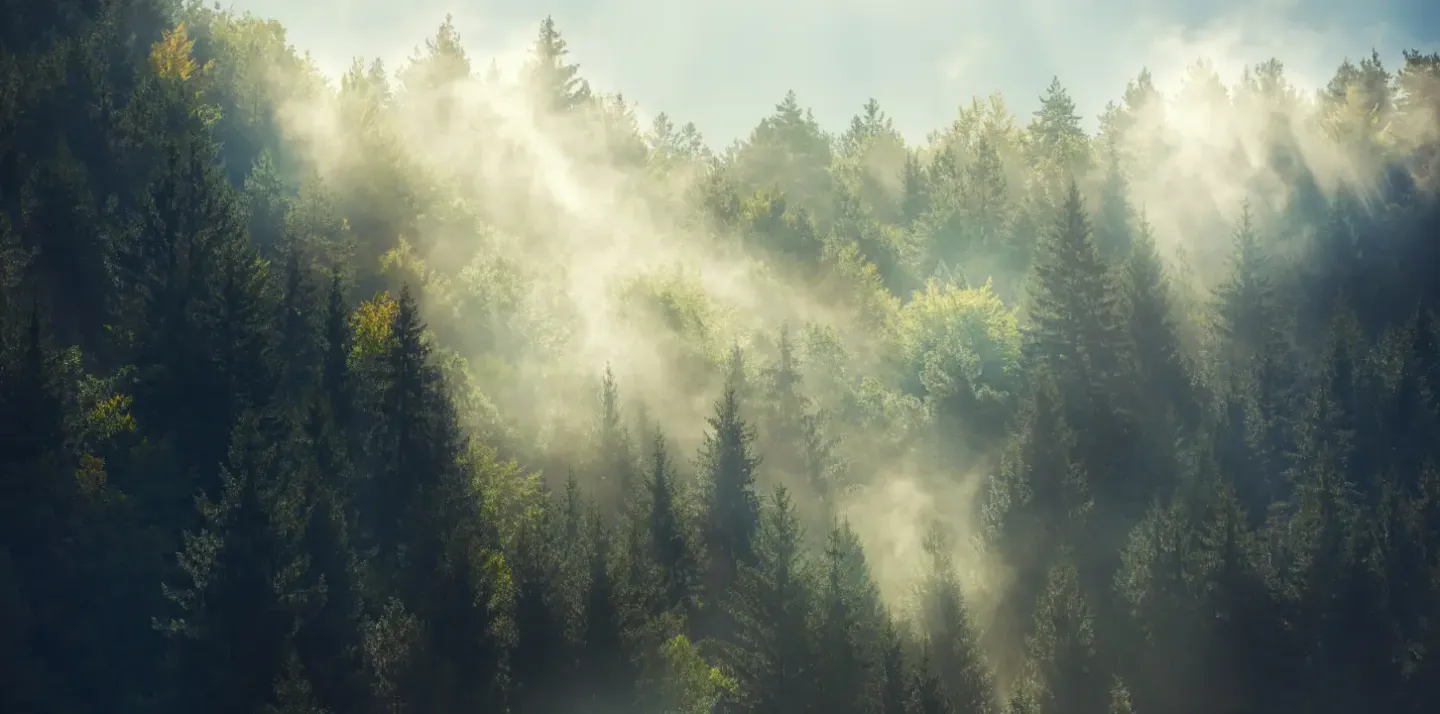 Mist Diffuser