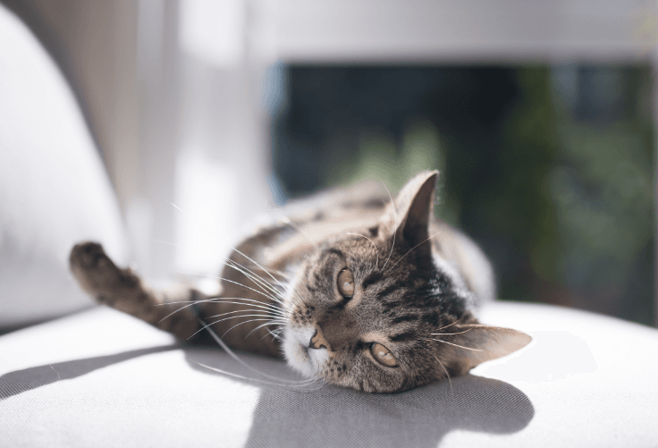 Our odor controlling tips