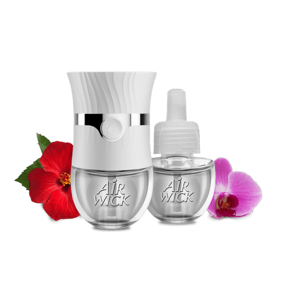 Hibiscus-&-Blooming-Orchid.png