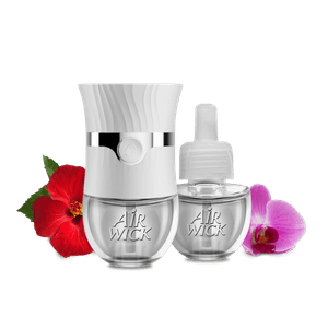 Hibiscus-&-Blooming-Orchid.png