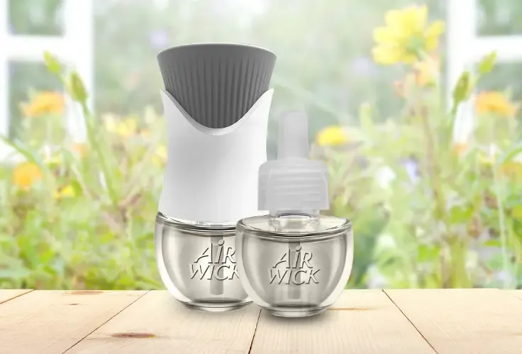 Essential oil can also help to purify the air, leading to fresher